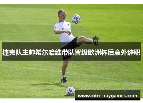 捷克队主帅希尔哈维带队晋级欧洲杯后意外辞职